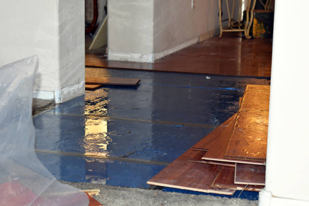Professional Sewage Cleanup technician working in Tilden, TX